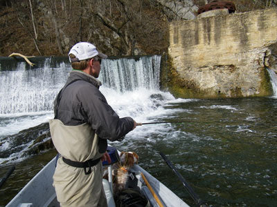 Smallmouth Bass Streams Fly Fishing Report - November 7, 2019