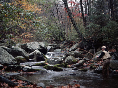 Mountain Trout Streams Fly Fishing Report - November 1, 2019