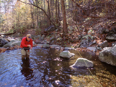 Mountain Trout Streams Fly Fishing Report - November 14, 2019