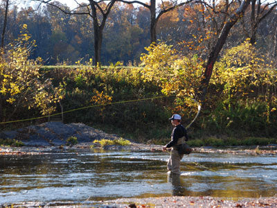 Stocked Trout Streams Fly Fishing Report - October 17, 2019