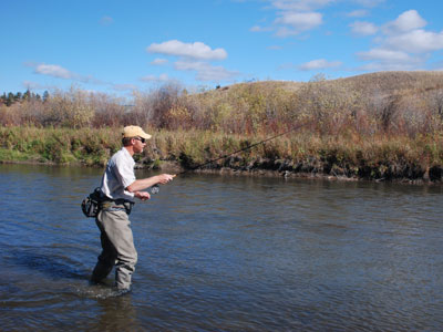 Stocked Trout Streams Fly Fishing Report - August 22, 2019