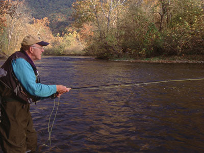 Stocked Trout Streams and Delayed Harvest Areas Fly Fishing Report - October 5, 2019