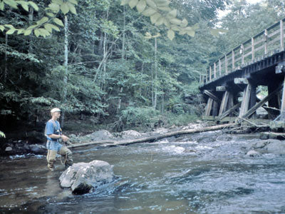 Stocked Trout Streams Fly Fishing Report - September 4, 2018