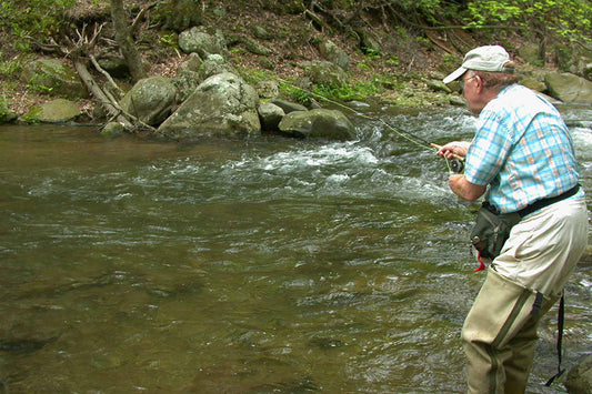 Trout Streams Fly Fishing Report - March 19, 2025