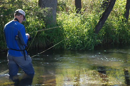 Trout Streams Fly Fishing Report - October 17, 2024