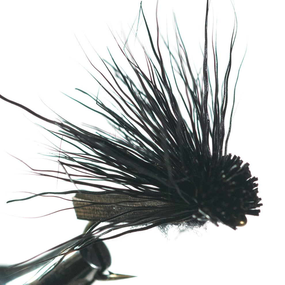 Shenk's Cricket Dry | Murray's Fly Shop