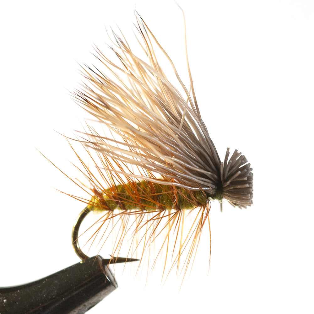 Olive Elk Hair Caddis fly fishing trout pattern