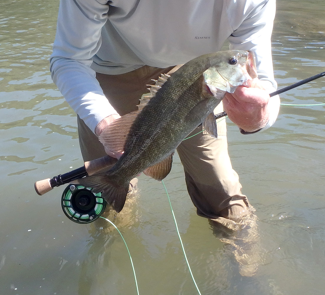 Smallmouth bass being held by an angler who is also holding a fly rod standing in water