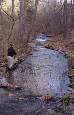 A fisherman in standing on the bank of a small rocky stream in the forest fishing with a fly rod