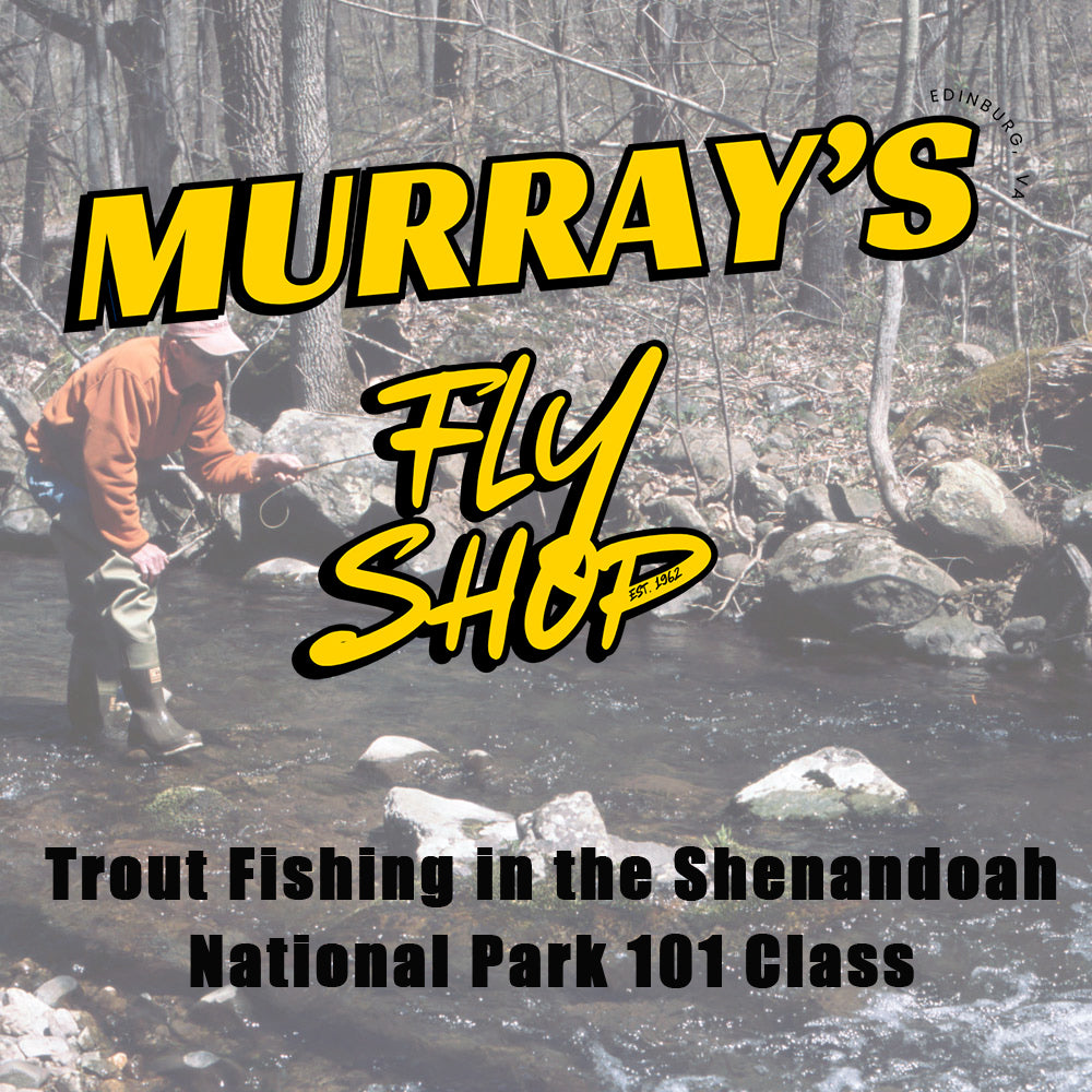 Trout Fishing in the Shenandoah National Park 101 Class