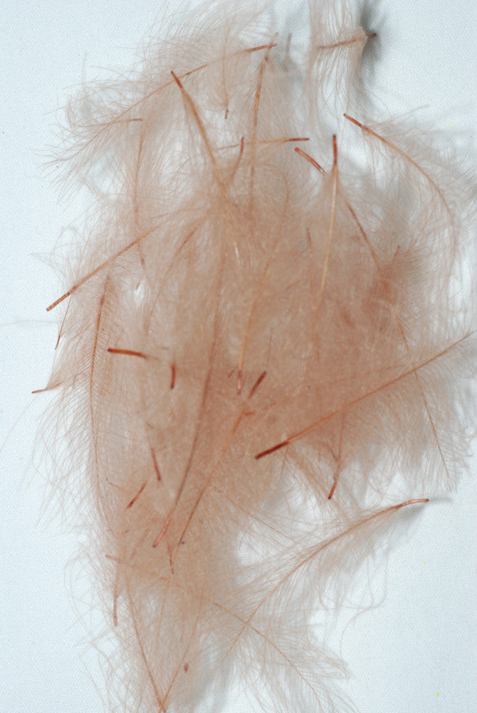 CDC Feathers Cul-De-Canard